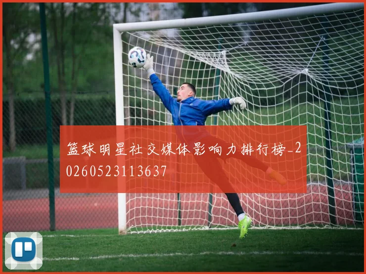 篮球明星社交媒体影响力排行榜_20260523113637