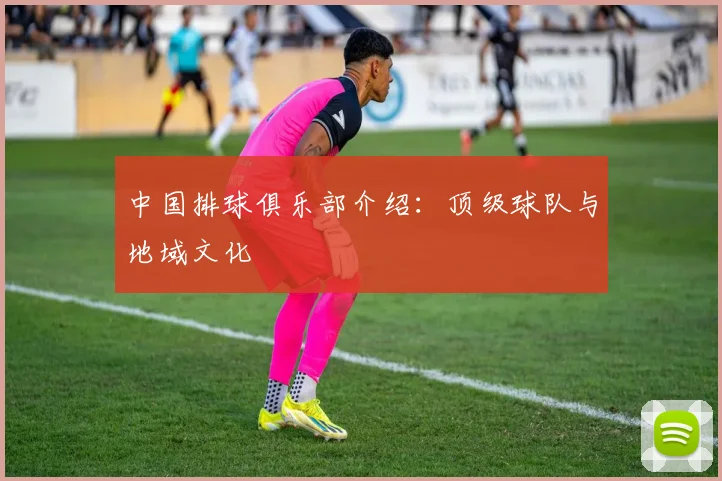 中国排球俱乐部介绍：顶级球队与地域文化