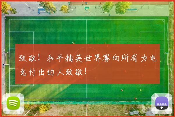 致敬！和平精英世界赛向所有为电竞付出的人致敬！