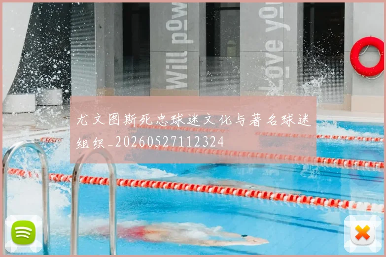 尤文图斯死忠球迷文化与著名球迷组织_20260527112324