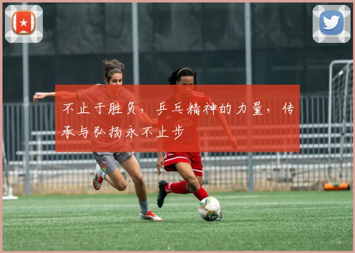 不止于胜负,乒乓精神的力量,传承与弘扬永不止步