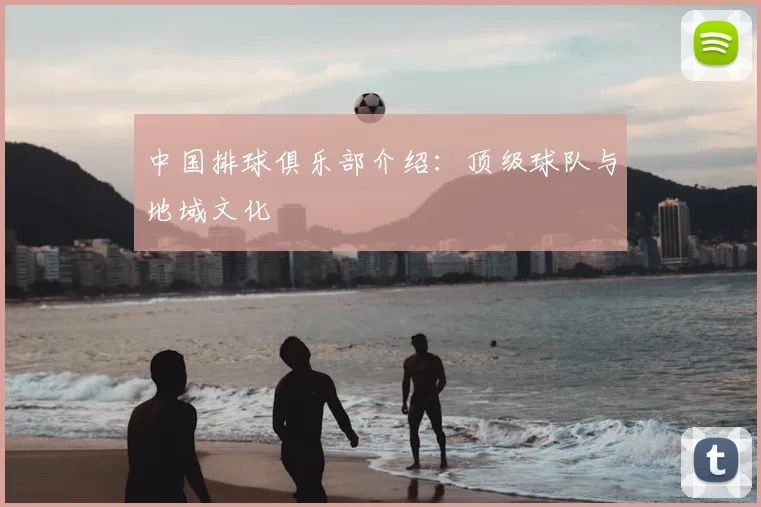 中国排球俱乐部介绍：顶级球队与地域文化