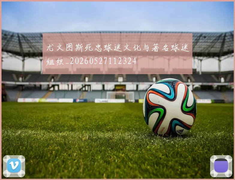 尤文图斯死忠球迷文化与著名球迷组织_20260527112324