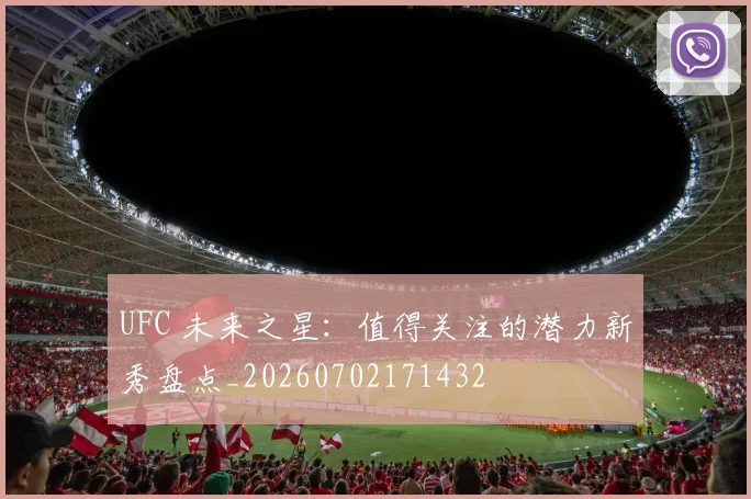 UFC 未来之星:值得关注的潜力新秀盘点_20260702171432